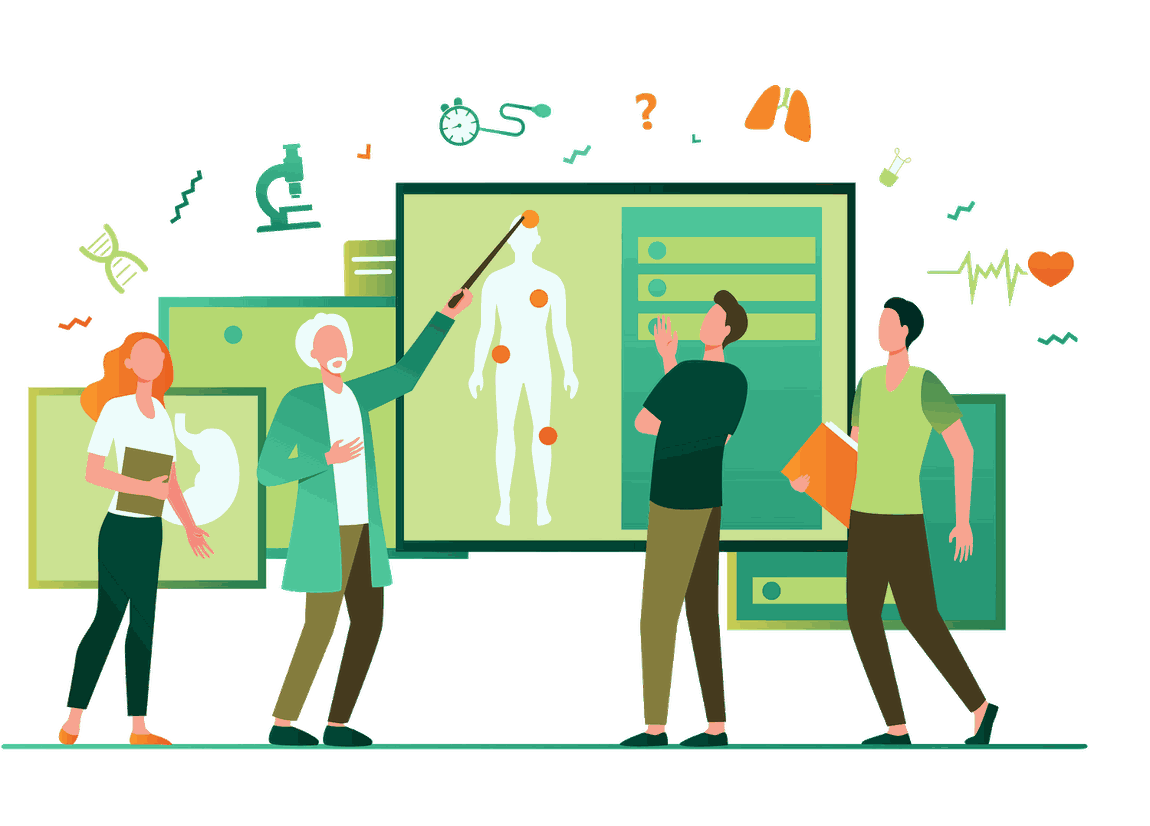 Anatomy teaching illustration